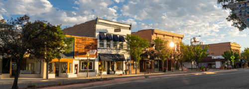 Montrose street view